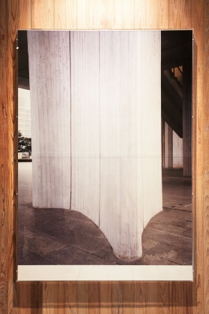 Our Gallery